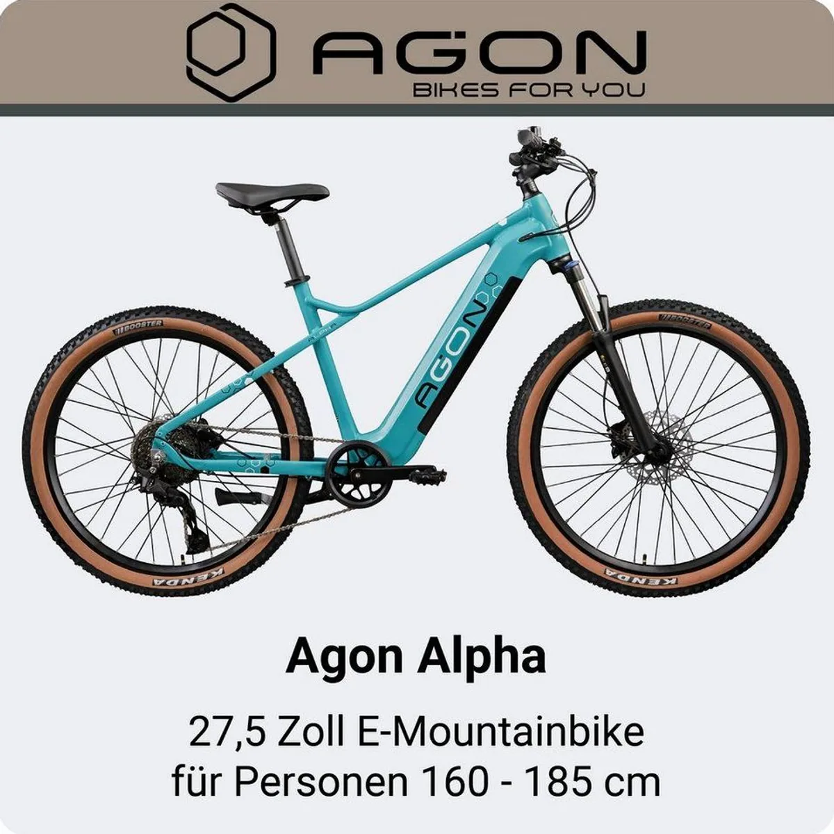 Agon E-Bike Mountainbike Alpha, leistungsstarker Ananda Motor, 10 Gang Shimano Deore 2