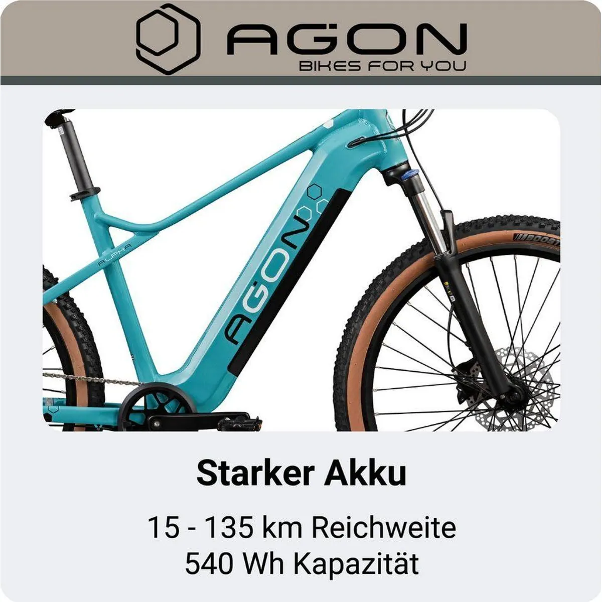 Agon E-Bike Mountainbike Alpha, leistungsstarker Ananda Motor, 10 Gang Shimano Deore 3