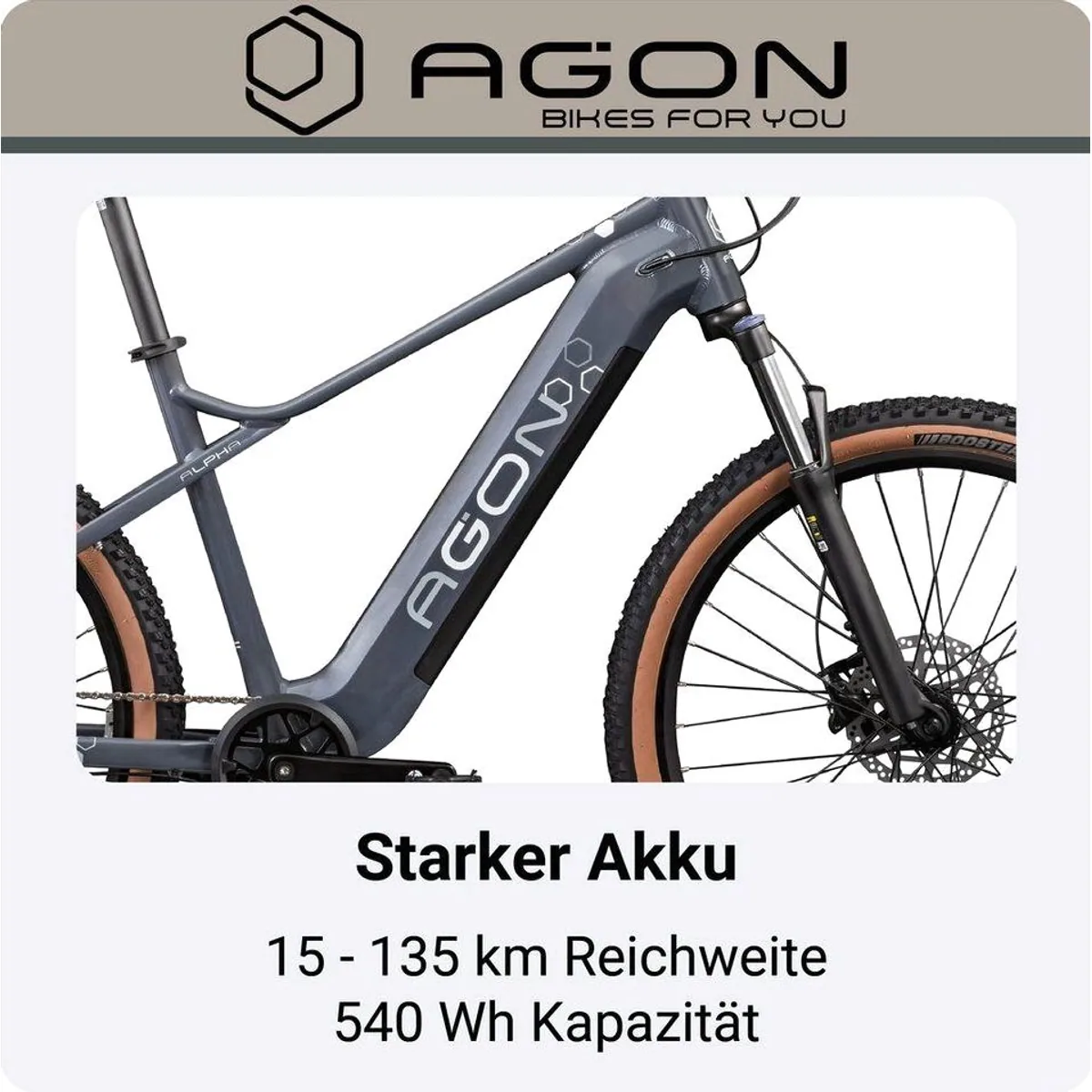 Agon E-Bike Mountainbike Alpha, leistungsstarker Ananda Motor, 10-Gang Shimano Deore — Pedelec für Damen und Herren 3