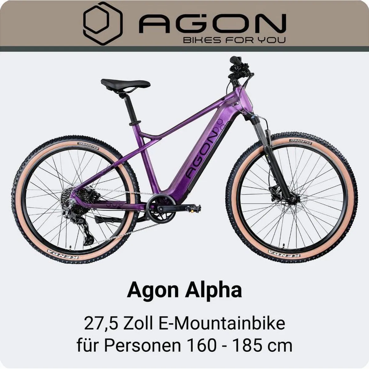 Agon E-Bike Mountainbike Alpha, 10 Gang Shimano Deore, leistungsstarker Hinterradmotor 2