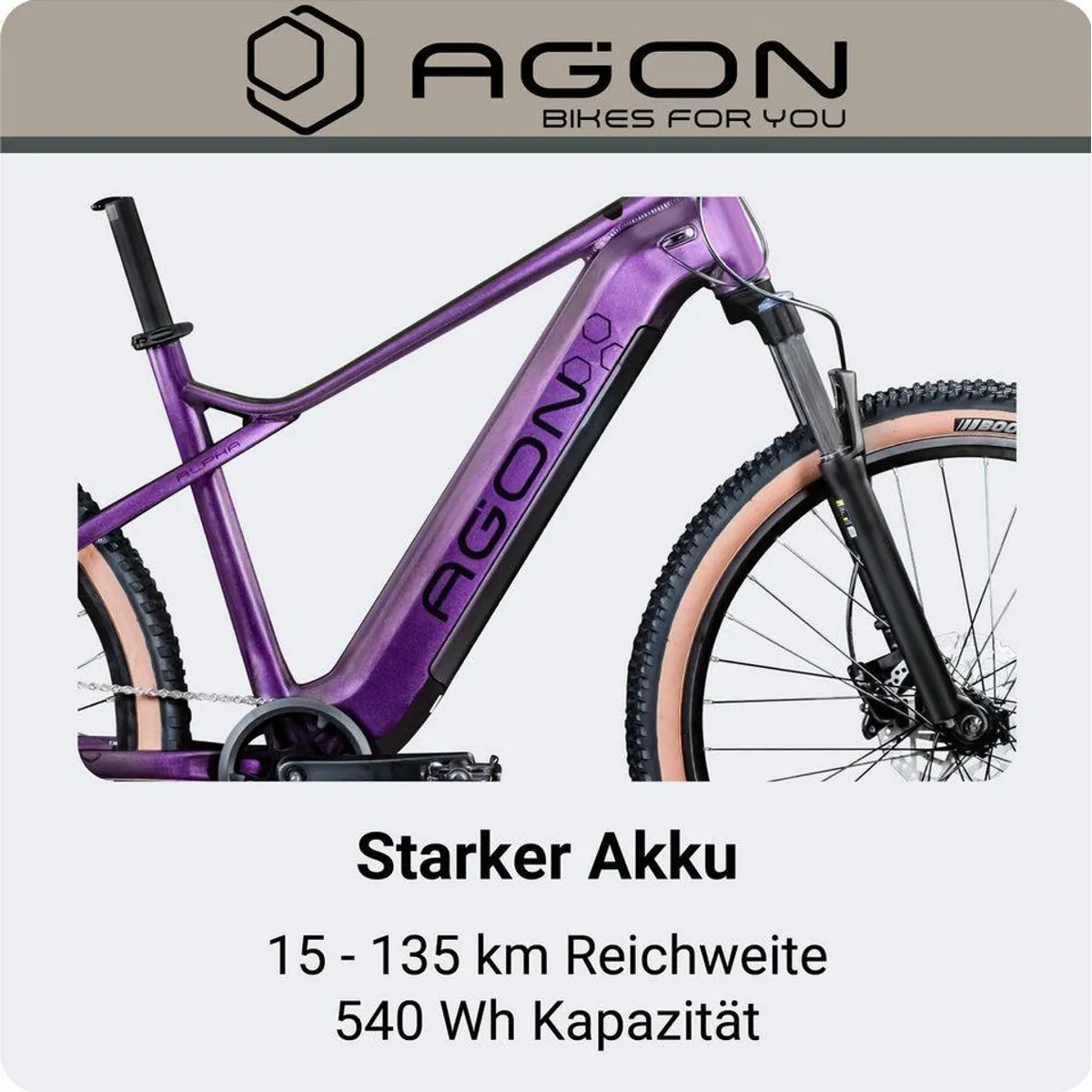 Agon E-Bike Mountainbike Alpha, 10 Gang Shimano Deore, leistungsstarker Hinterradmotor 3