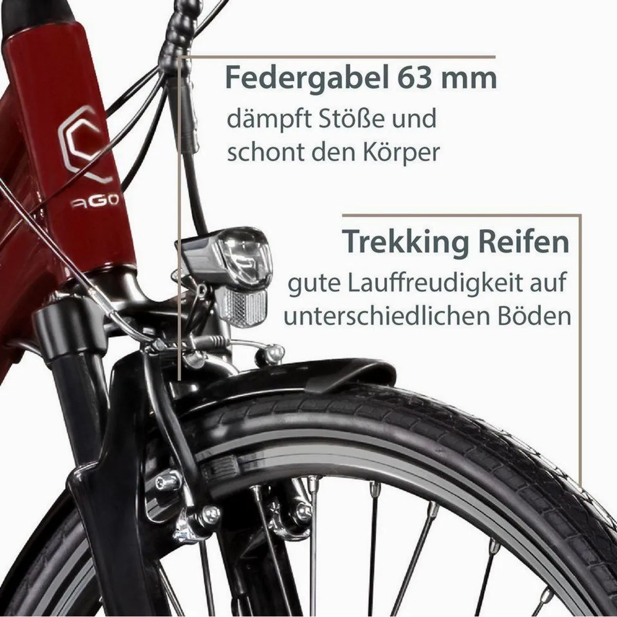 Agon Avesa E-Bike Trekkingrad, 21-Gang Kettenschaltung, 250W Heckmotor, 374 Wh 3