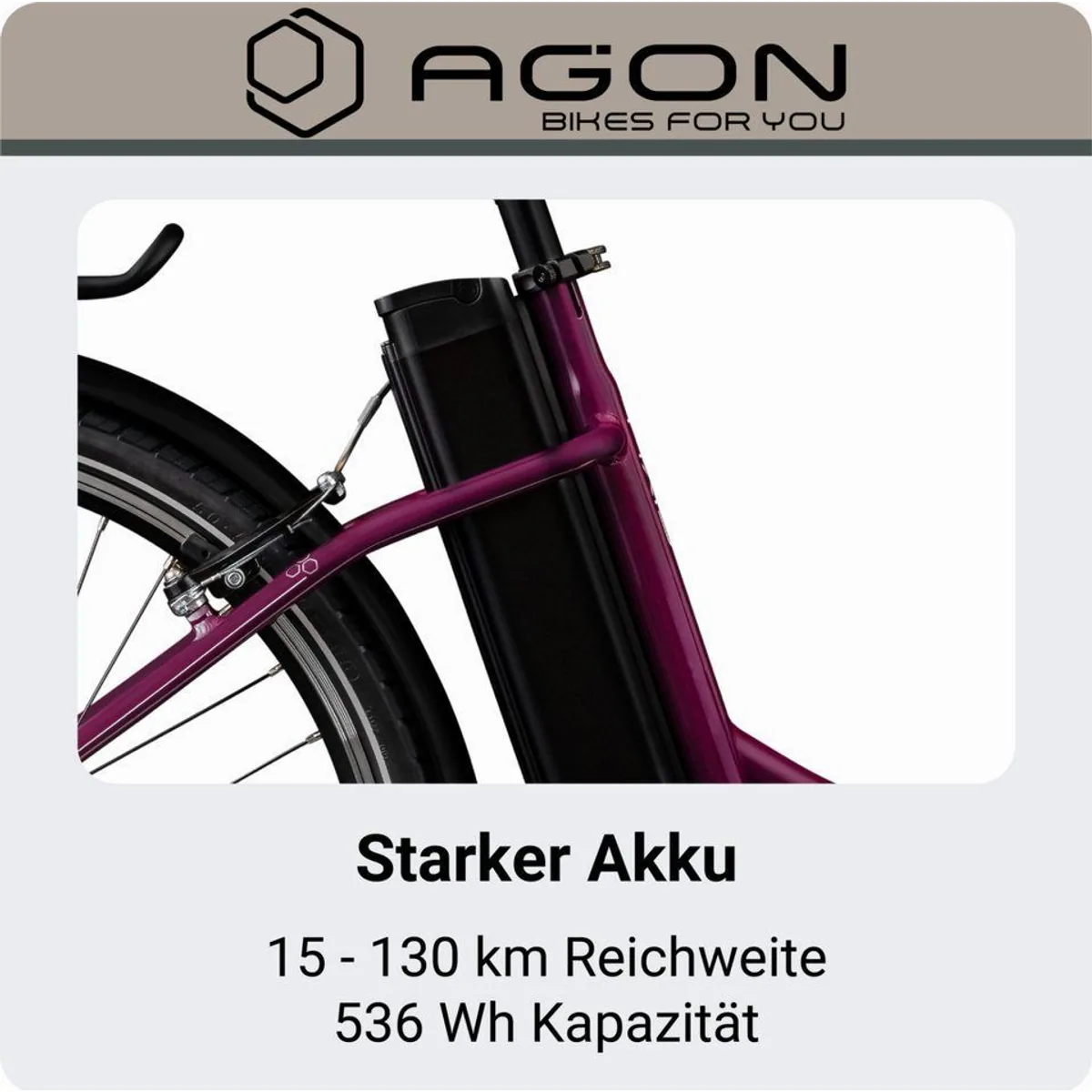 Agon E-Bike Cityrad Axis, 3 Gang Nabenschaltung, 536 Wh Akku, Frontmotor 2