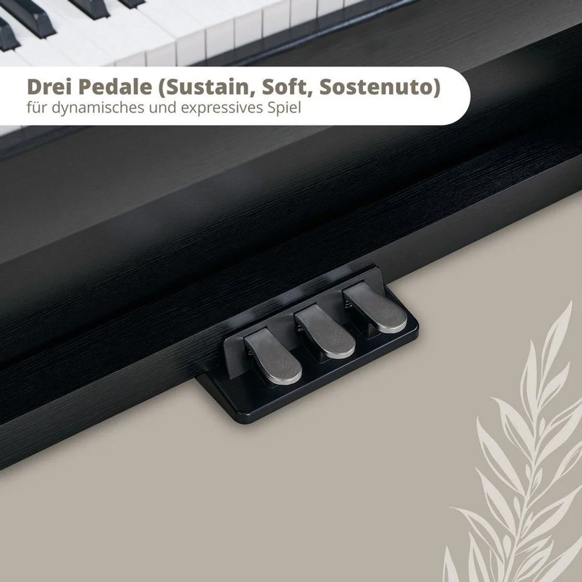 Classic Cantabile DP-220 E-Piano Set, 88 gewichtete Tasten, umfangreiche Ausstattung 3