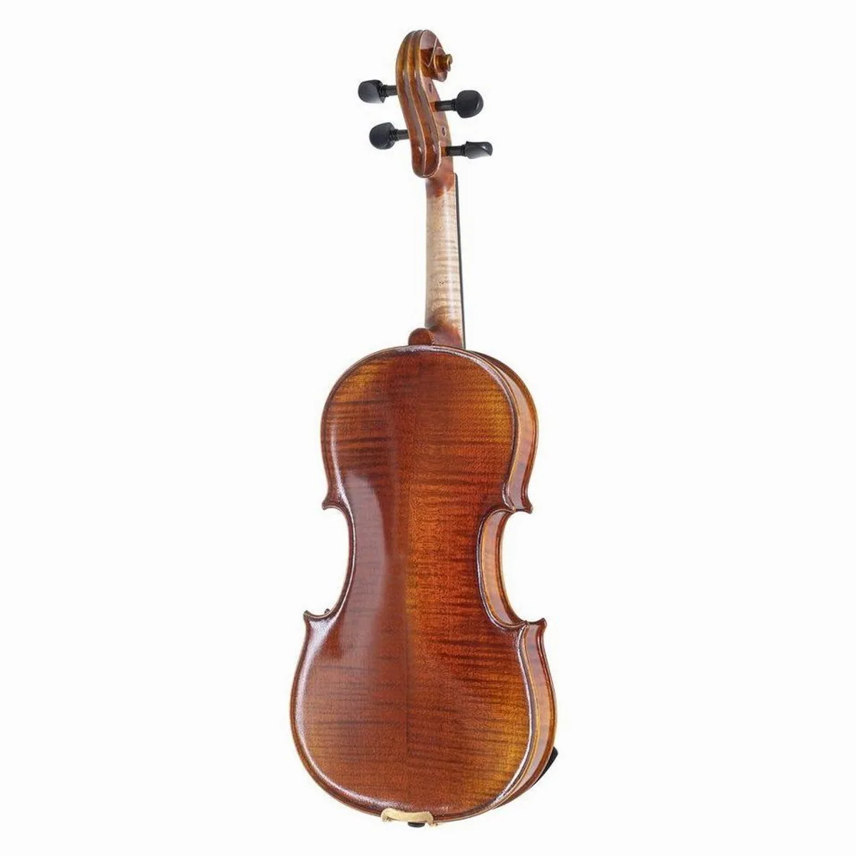 Gewa Maestro Violine 4/4, europäische Hölzer, edles Zubehör 3