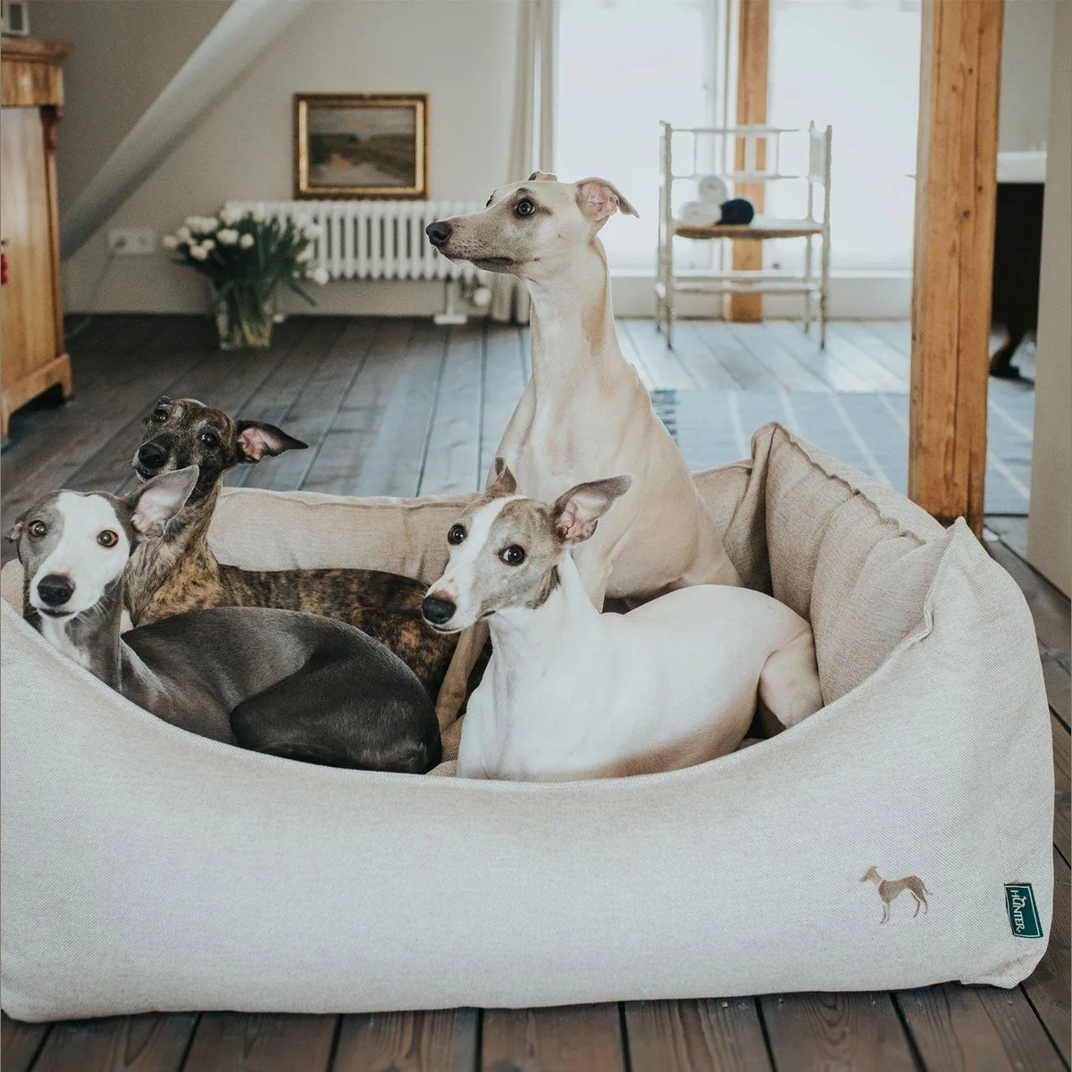 Hunter Livingston Hundesofa, elegant-klassisches Design, abnehmbarer Bezug, pflegeleicht 5