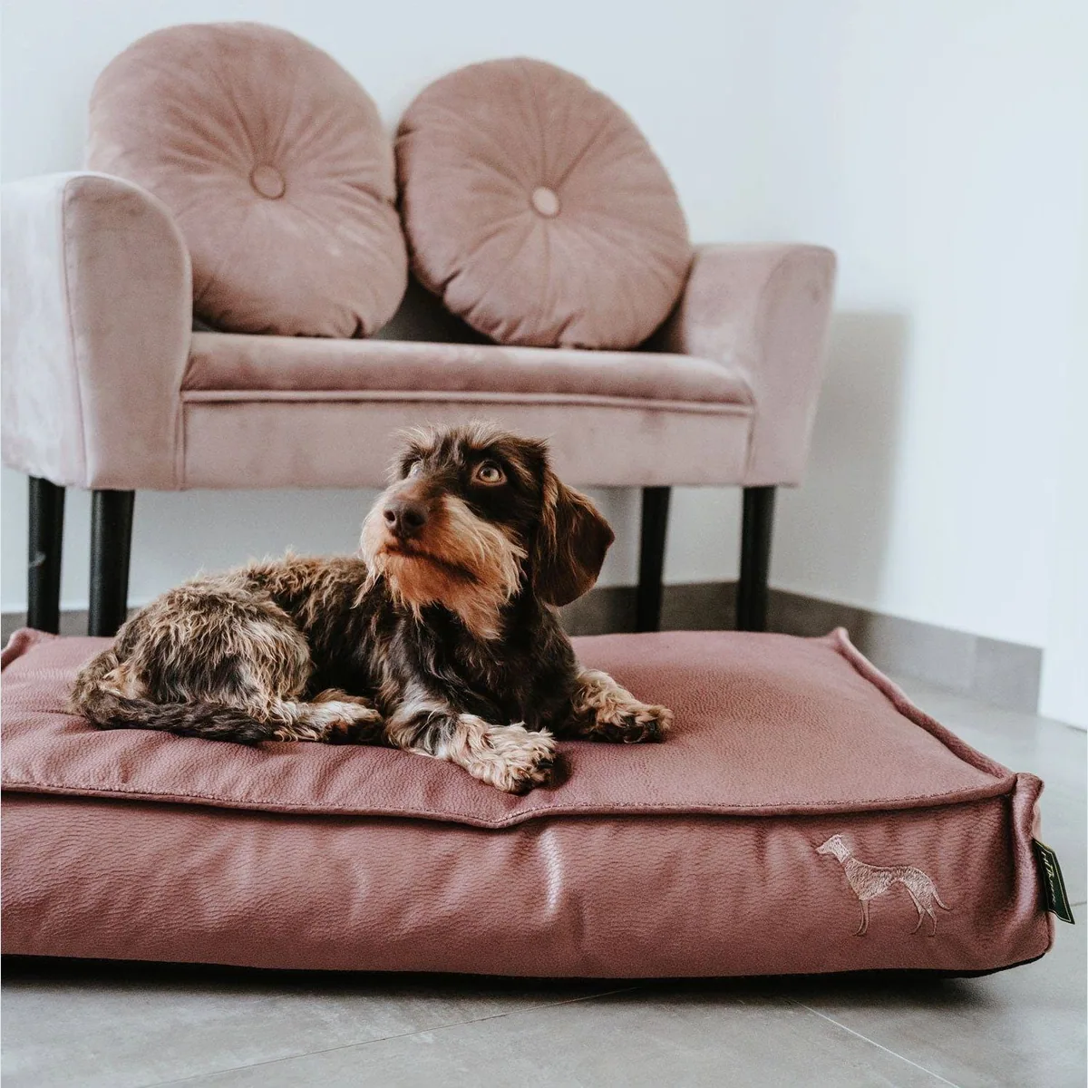 Hunter Merida orthopädisches Hundekissen, ergonomische Unterstützung & hochwertige Materialien 5