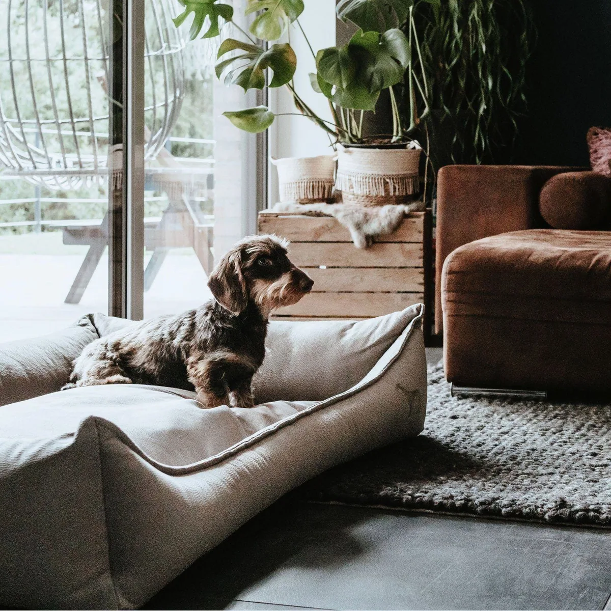 Hunter Merida Hundesofa, orthopädisch, ergonomisch, mit Memoryschaum 5