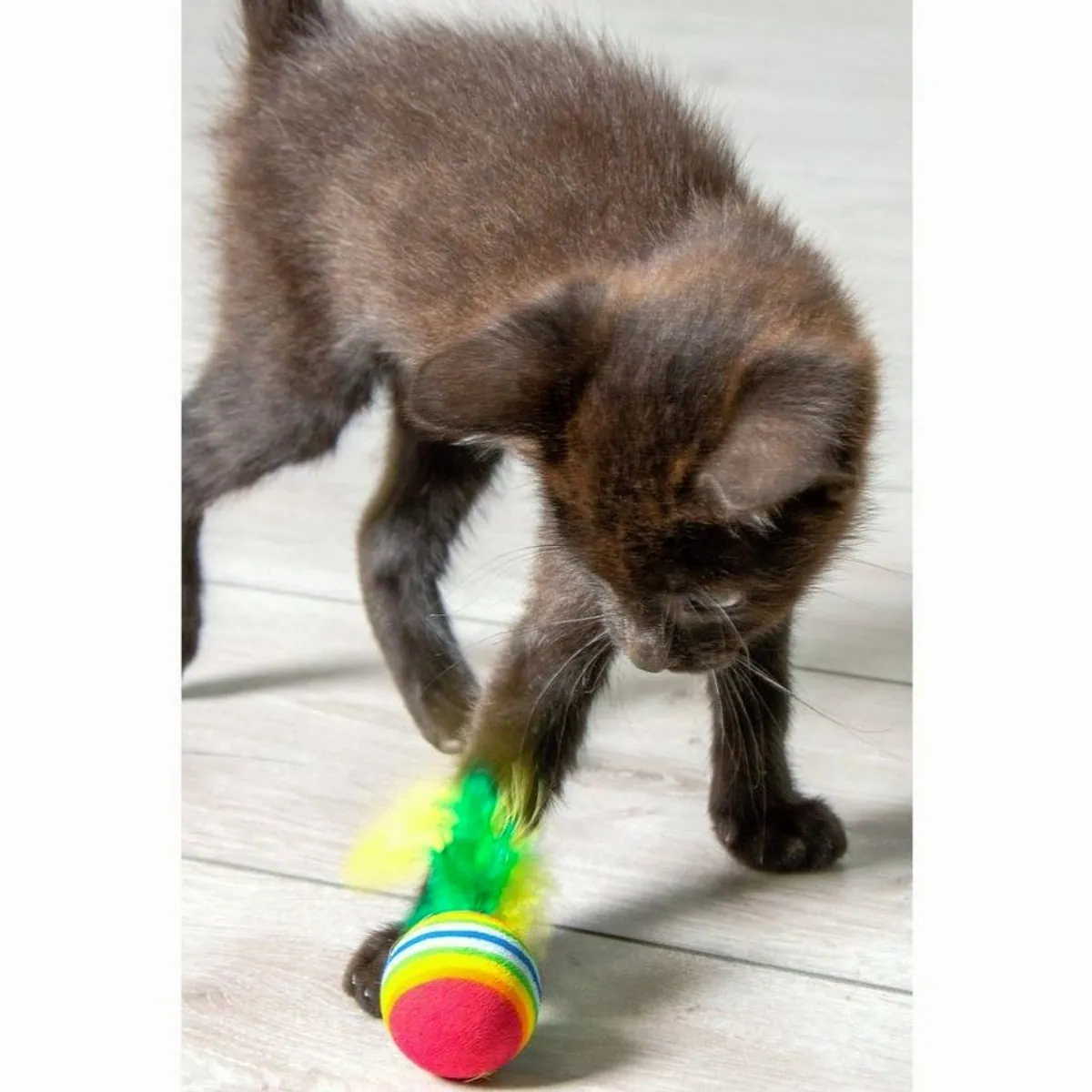 Karlie Regenbogenbälle mit Feder, 4er Set, weicher Schaumgummi, anregendes Spielvergnügen 4