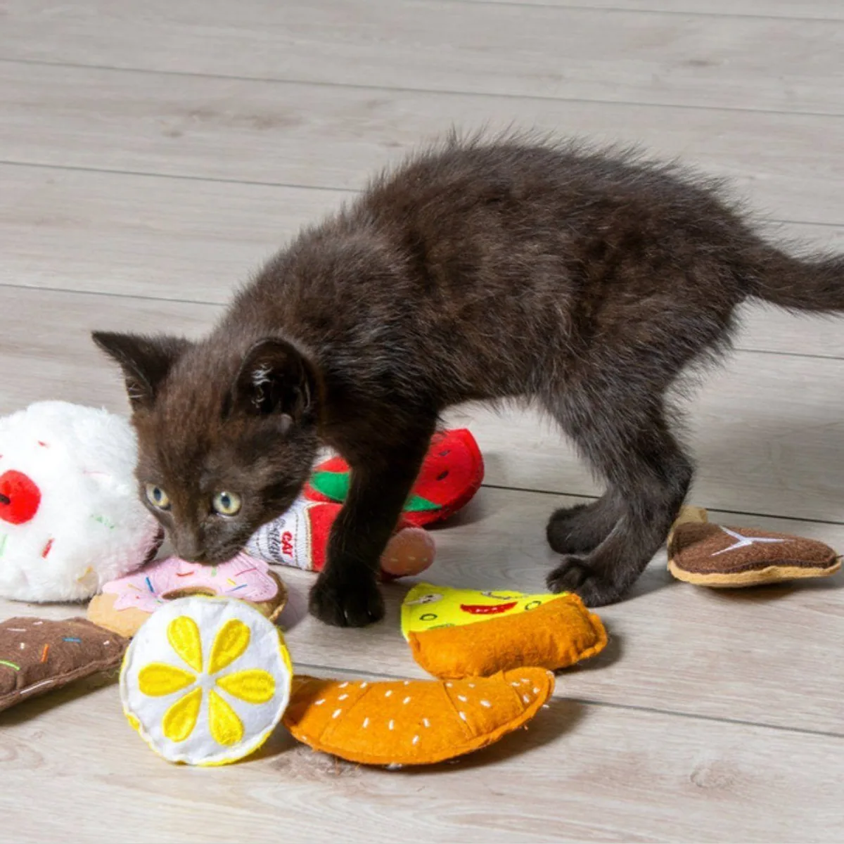 Karlie Tierkuscheltier Croissant, unwiderstehlicher Spielspaß für Katzen 5
