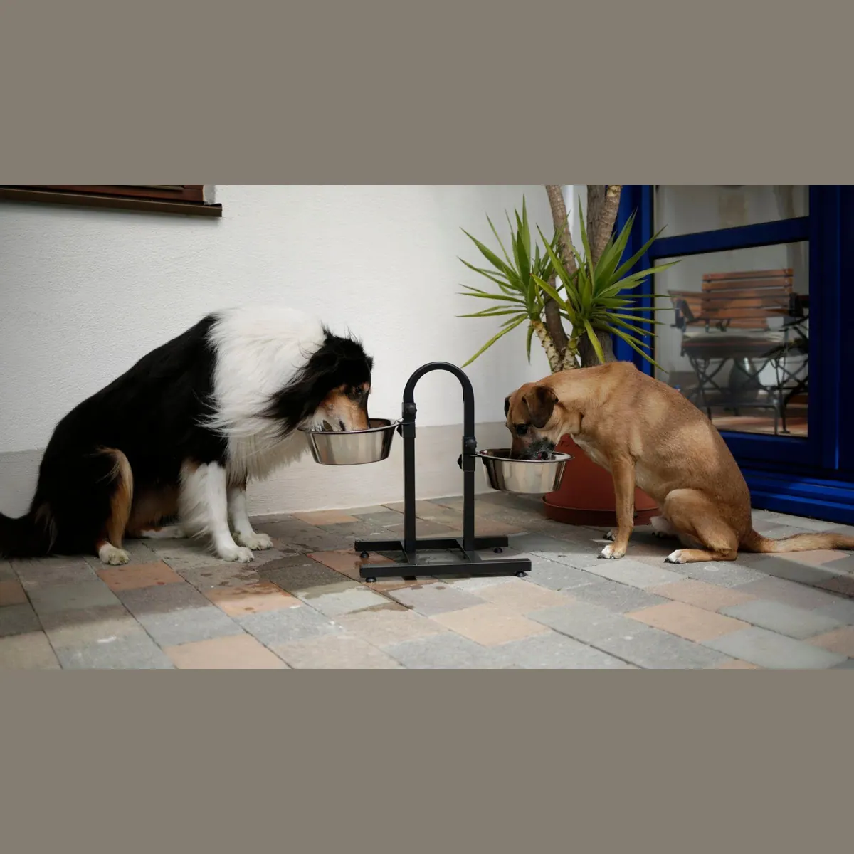 Kerbl Futterbar Deluxe, zwei Edelstahlnäpfe, höhenverstellbar, 52 cm 3