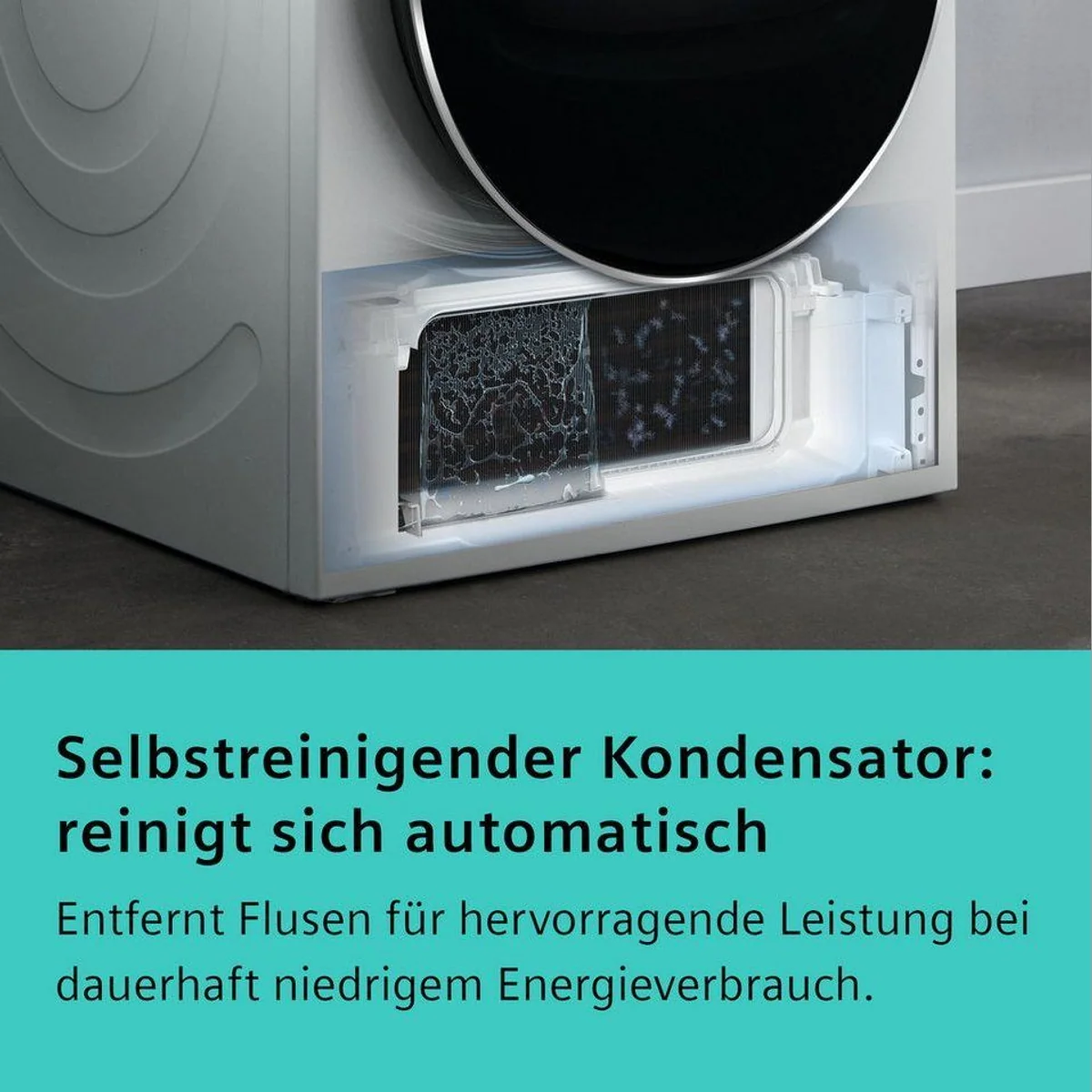 SIEMENS iQ700 WQ46B2D41 Wärmepumpentrockner, leisest mit 56 dB, selbstreinigender Kondensator 2