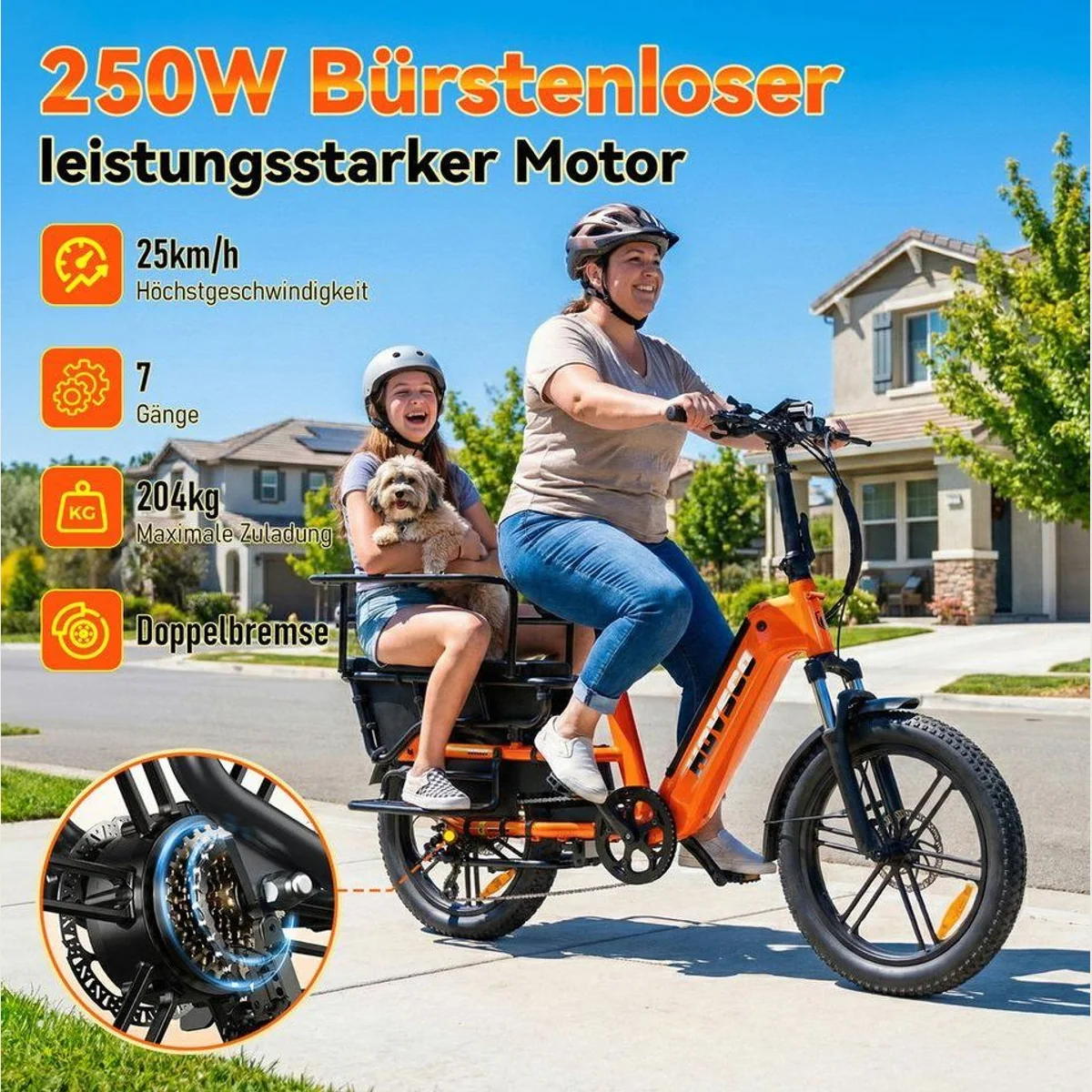 SISIGAD K006 E-Cargo Bike, 250W Motor, 55 km Reichweite, 204 kg Zuladung 2