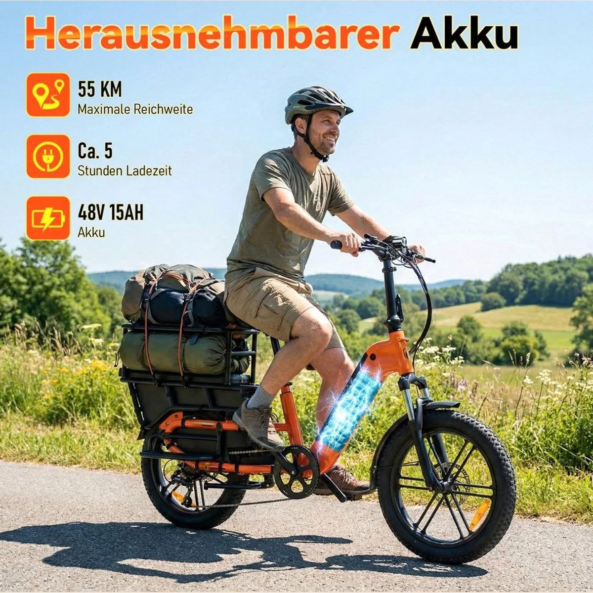 SISIGAD K006 E-Cargo Bike, 250W Motor, 55 km Reichweite, 204 kg Zuladung 3