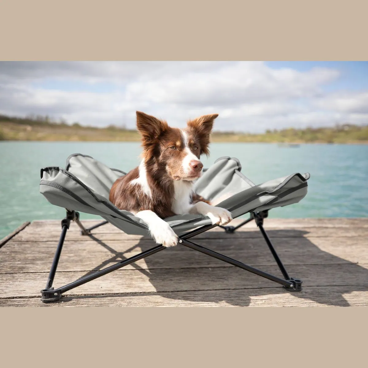 Trixie Camping-Hundebett, robust und mobil, optimale Luftzirkulation 5