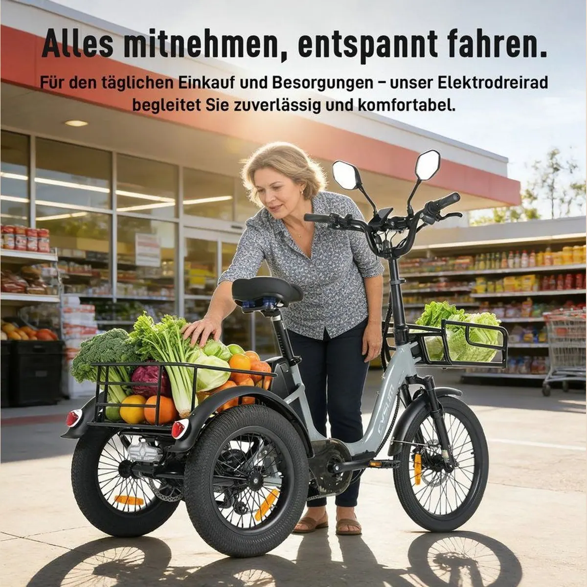 Vankel AG1 E-Bike Cityrad, faltbar, 120 km Reichweite, 250W Motor — 3-Rad Pedelec für Komfort und Sicherheit 3