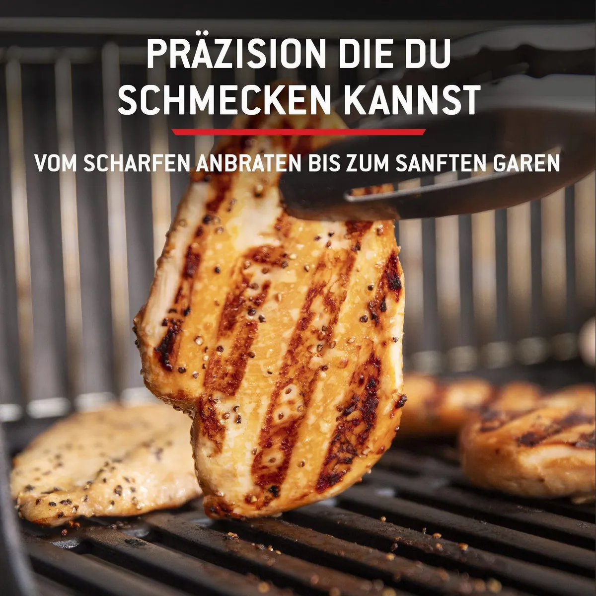 Weber SPIRIT E-310 Gasgrill, Edelstahl Flavorizer Bars, Snap Jet Zündung 5