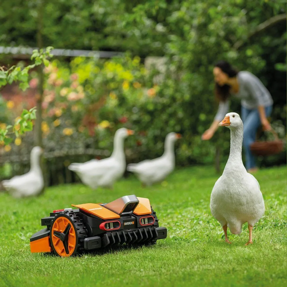 Worx Landroid VISION M800 Mähroboter, intelligente Hinderniserkennung, bis 800 m² Rasenfläche 2
